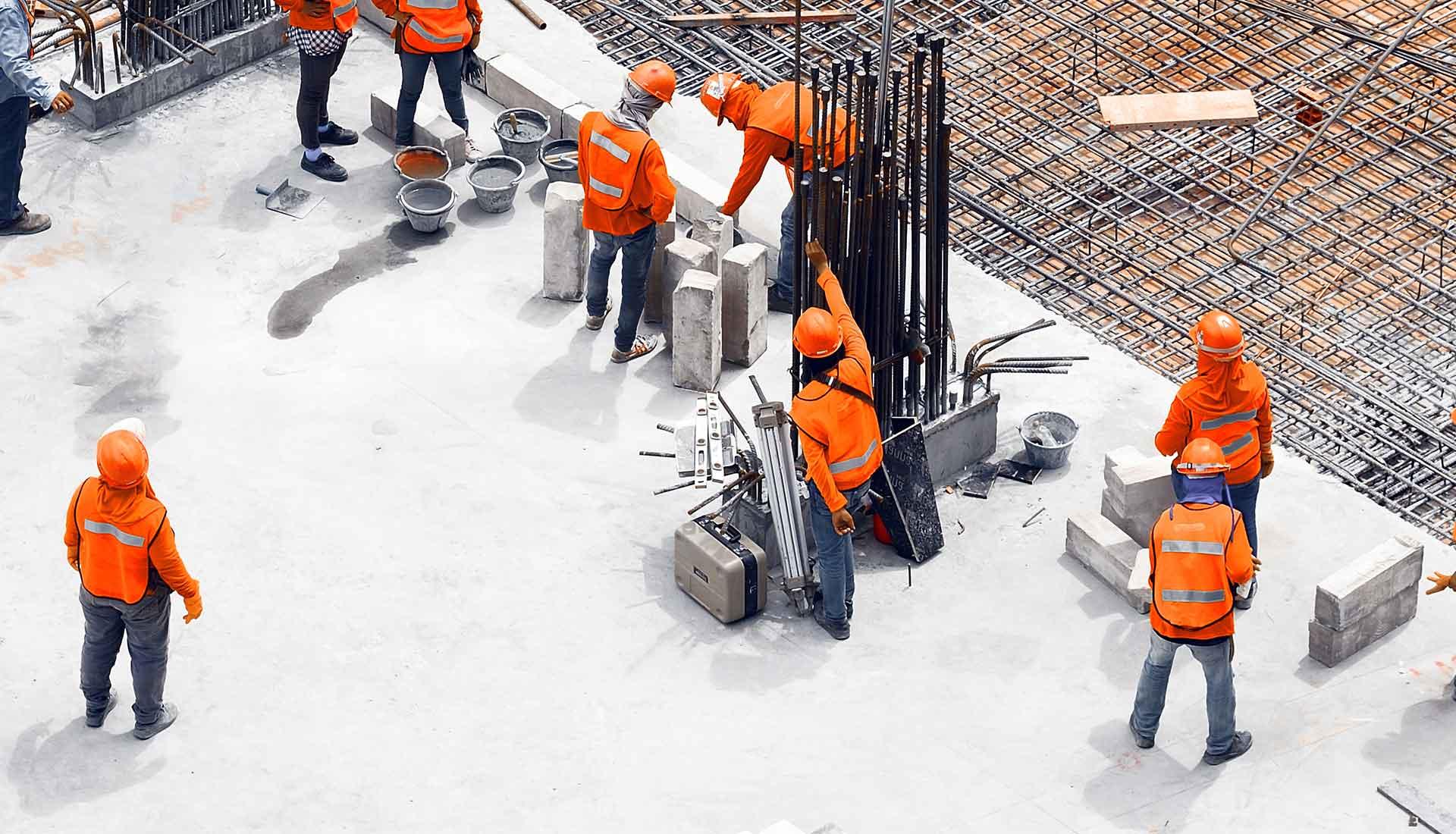 Website Design & Programming